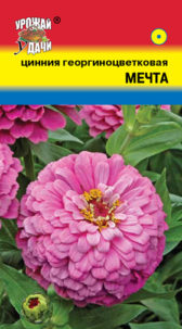 Цинния георгиноцветковая Мечта,  УУ