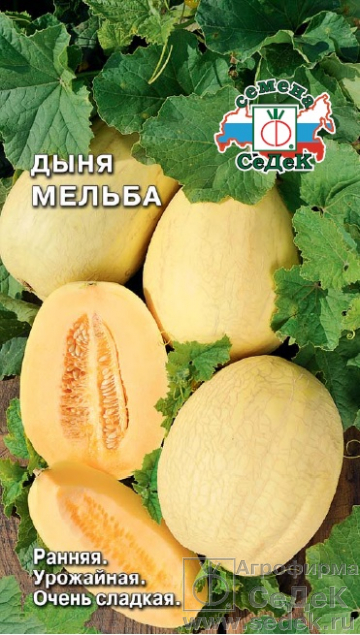 Дыня Мельба 0,5г "Седек"