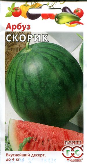 Арбуз Скорик, 1г