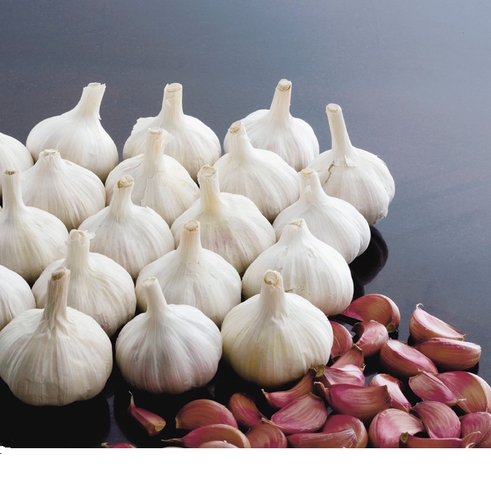 Чеснок Добрыня, кг.