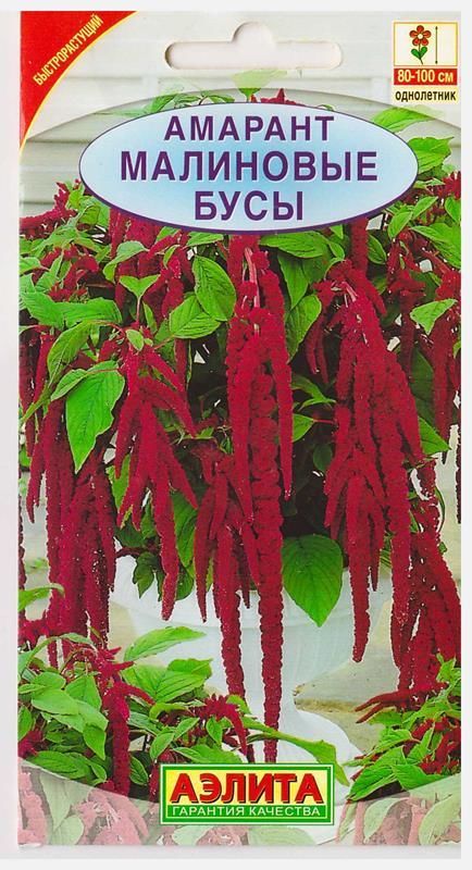 Амарант Малиновые бусы "Аэлита"