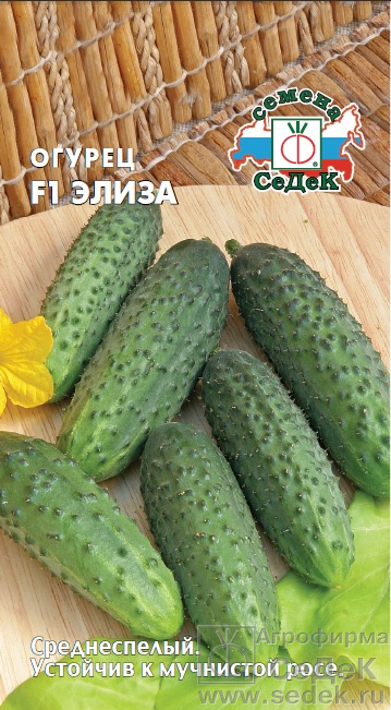 Огурец Элиза F1 0,2г "Седек"