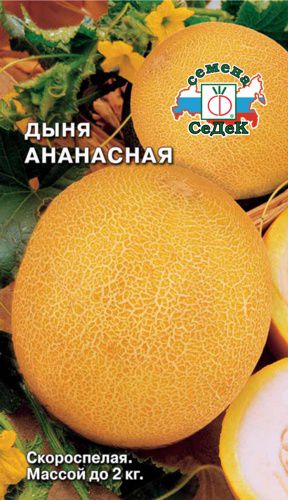 Дыня Ананасная 0,5г "Седек"