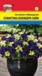 Петуния крупноцв. Софистика Лайм блюберри 3шт УУ