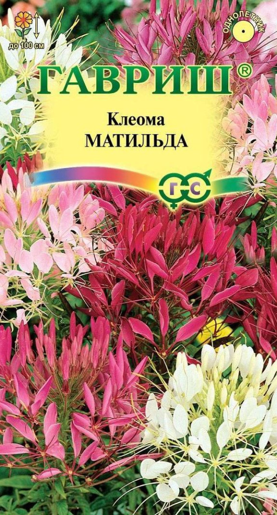 Клеома Матильда, смесь 0,3г