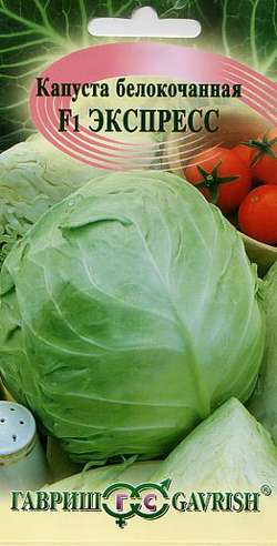 Капуста белокоч. Экспресс F1 ранняя