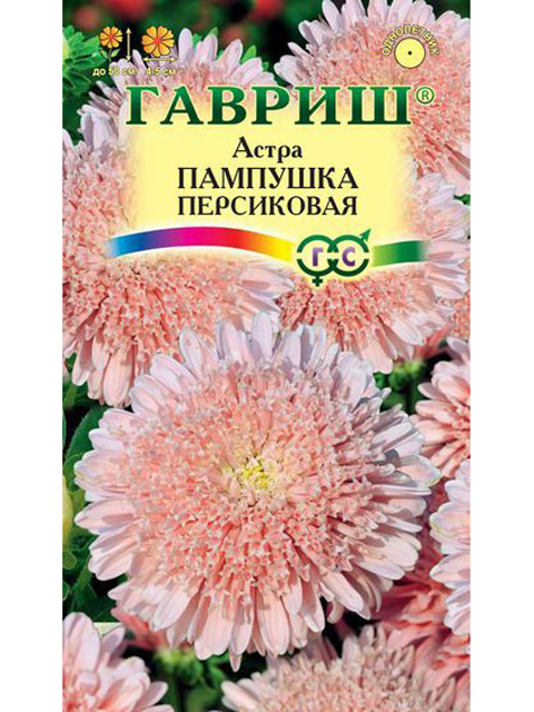 Астра Пампушка персиковая, 0,3г