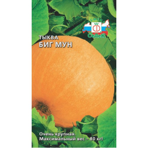 Тыква Биг мун 2г "Седек"