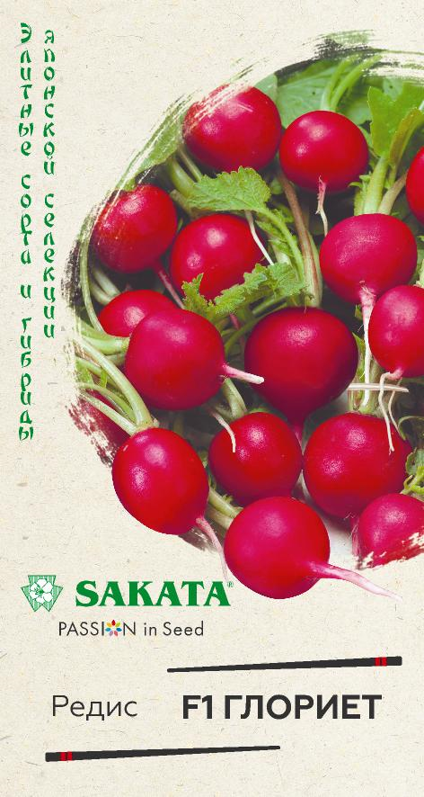 Редис Глориет 0,5г Саката