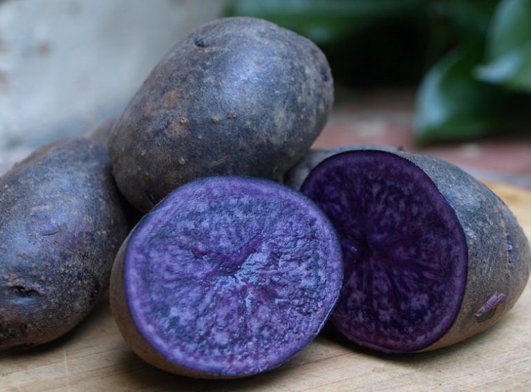 Картофель семенной Аметист (2021г)