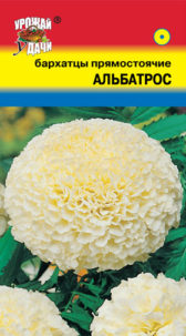 Бархатцы пр. Альбатрос махровые  УУ