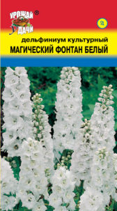 Дельфиниум Магический фонтан белый УУ