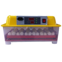 ИнкубаторWQ-18 220V и 12V автоматический 