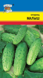 Огурец Малыш УУ