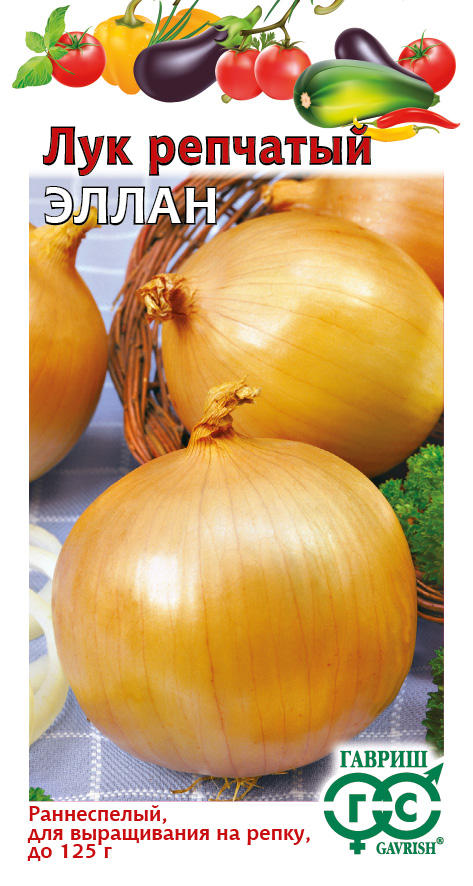 Лук репч. Эллан 1,0 подзимний посев