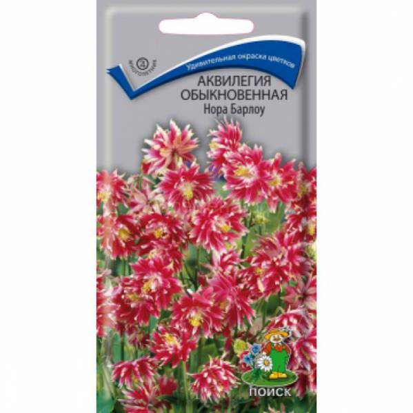 Аквилегия махр. Барлоу смесь УУ