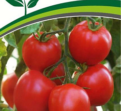 Томат Анфиса F1, 0,05г (Партнер)