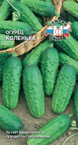 Огурец Коленька F1 0,3г "Седек"