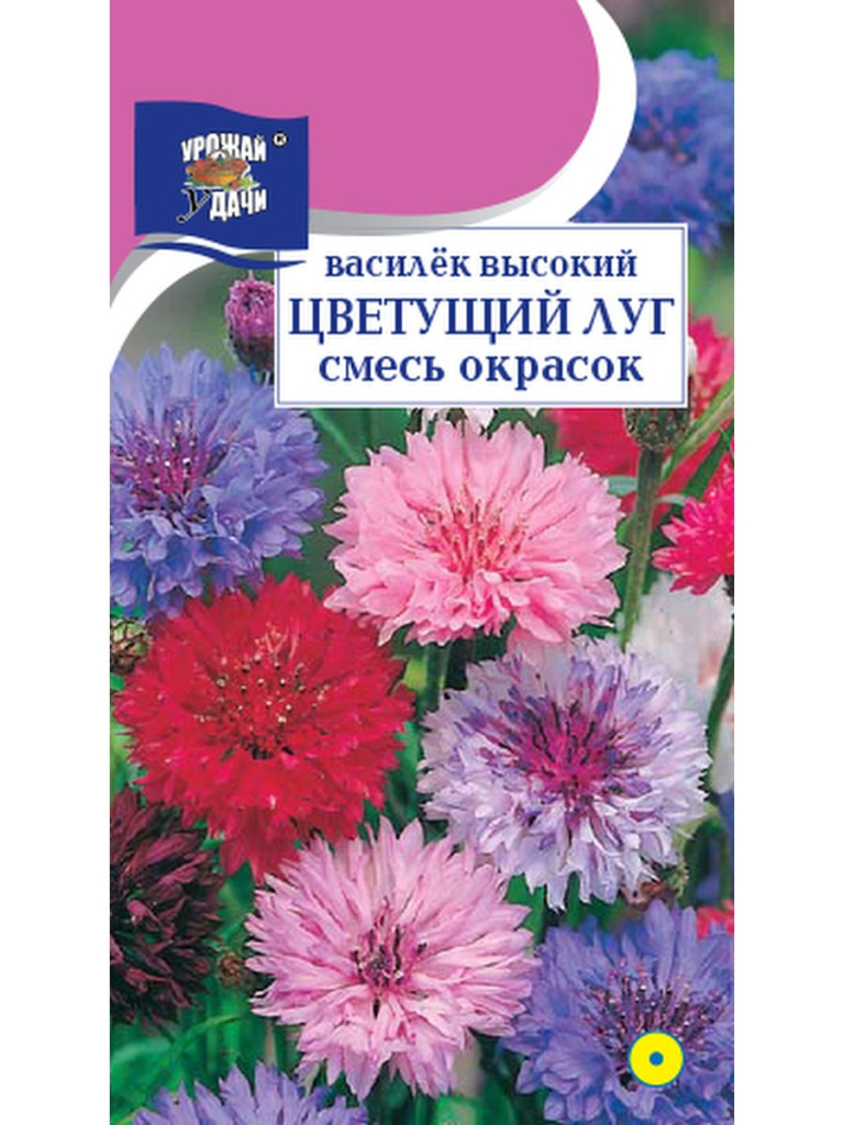 Василек Цветущий луг, смесь высок. УУ