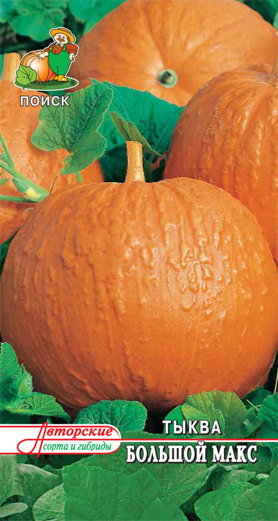 Тыква Большой Макс 10шт "Поиск"