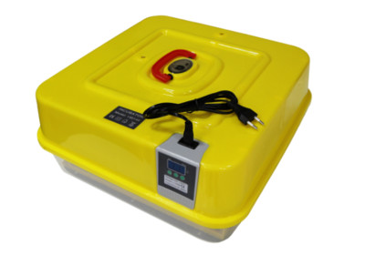 Инкубатор JNL-42 автоматический 