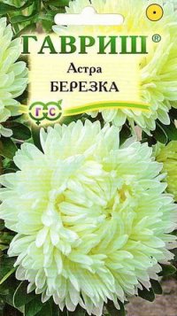 Астра Березка, воронежская, белая, 0,3г
