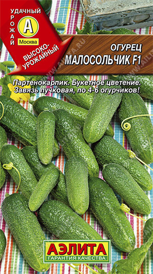 Огурец Малосольчик F1 "Аэлита"