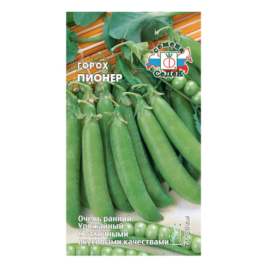 Горох Пионер "Седек"