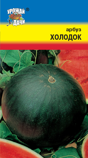 Арбуз Холодок, сахарный ц/п "Алтай"