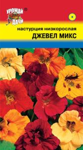 Настурция куст. Джевел микс, УУ