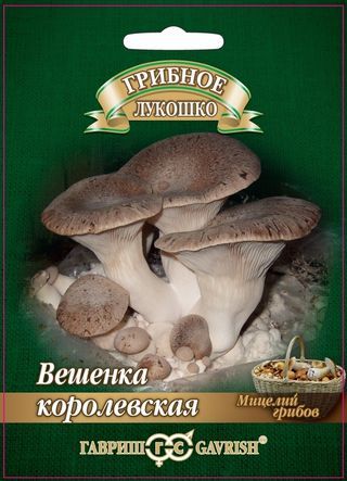 Вешенка Королевская на древ.палочке 12шт
