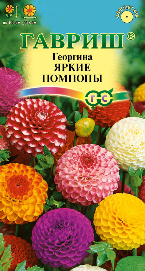 Георгина Яркие помпоны, 0,2г