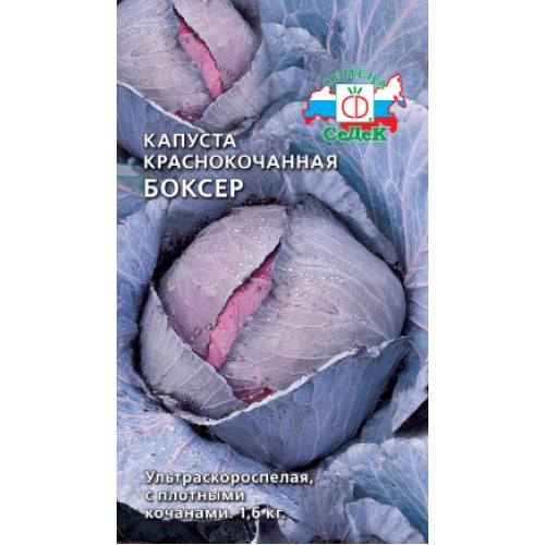 Капуста краснокоч. Боксер "Седек"