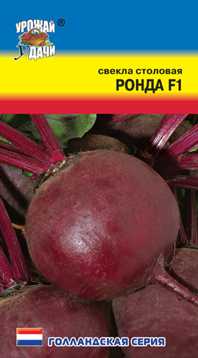 Свекла Ронда F1  УУ
