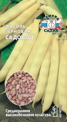 Фасоль Садовод (зерновая) 5г "Седек"