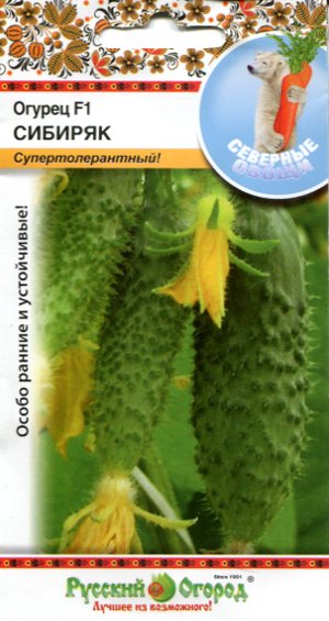 Огурец Сибиряк F1 10шт (Р.О.)