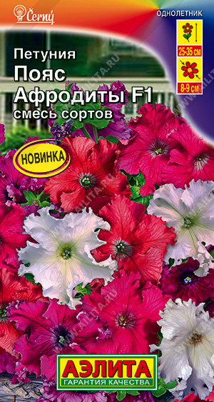 Петуния крупноцв. Пояс Афродиты F1 "Аэлита"