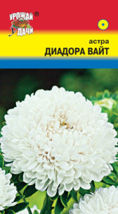 Астра Диадора ВАЙТ пион  УУ