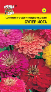 Цинния георгиноцветковая Супер йога, смесь УУ