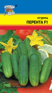 Огурец Перента ц/п УУ