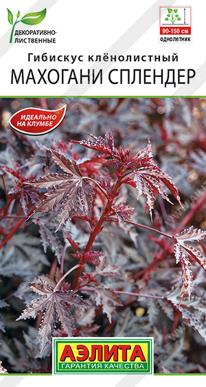 Гибискус Махогани сплендер 3шт "Аэлита"
