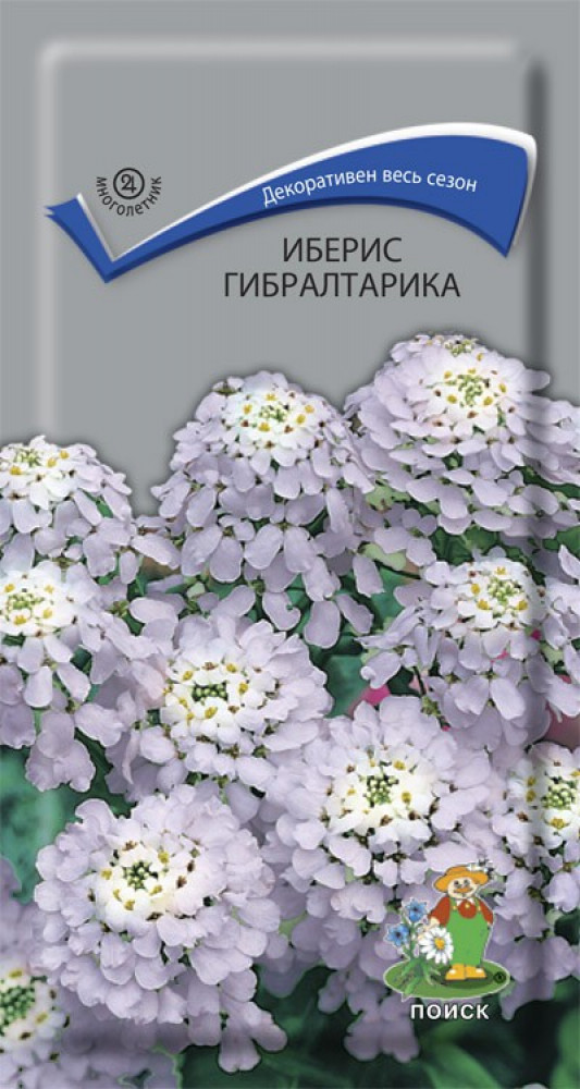 Иберис Гибралтарика 0,1г "Поиск"