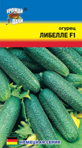 Огурец Либелле  F1 УУ