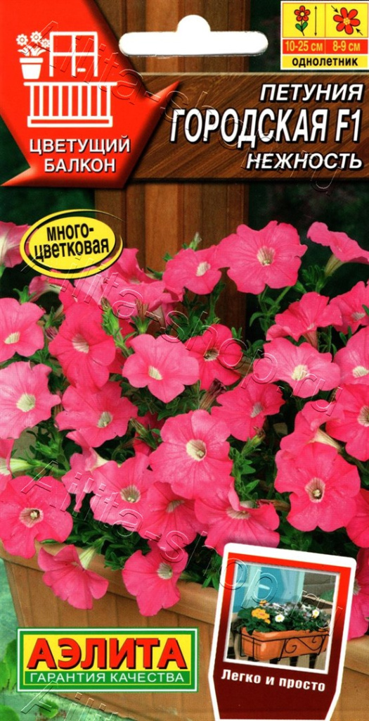 Петуния Городская F1 нежность 7шт  "Аэлита"