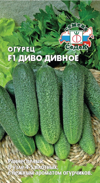 Огурец Диво Дивное 0,2г F1 "Седек"