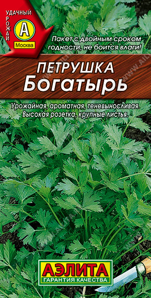 Петрушка листовая Богатырь "Аэлита"