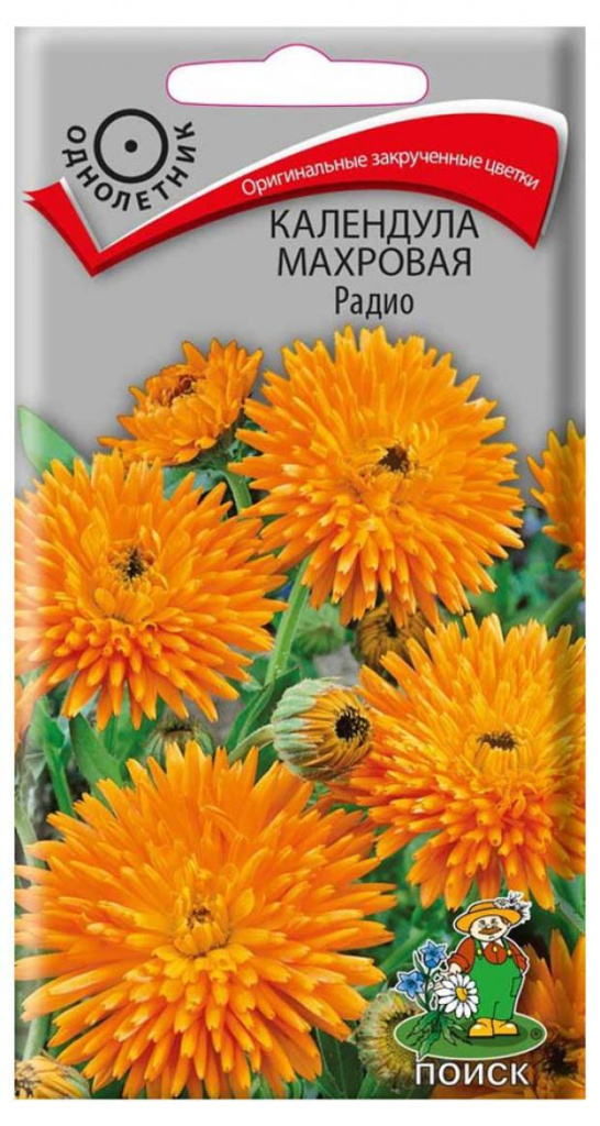Календула махровая Радио 1г "Поиск"