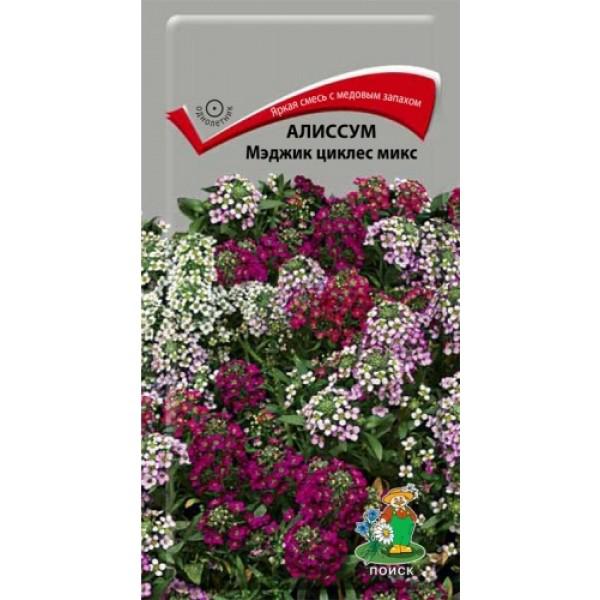 Алиссум Мэджик циклес 0.1г "Поиск"