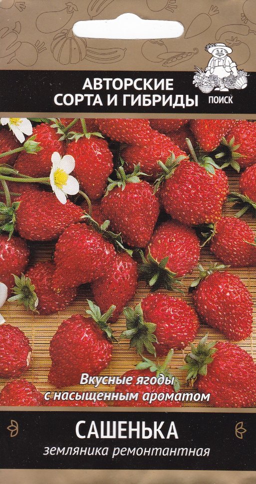 Земляника Сашенька ремонтантная, 100шт "Поиск"