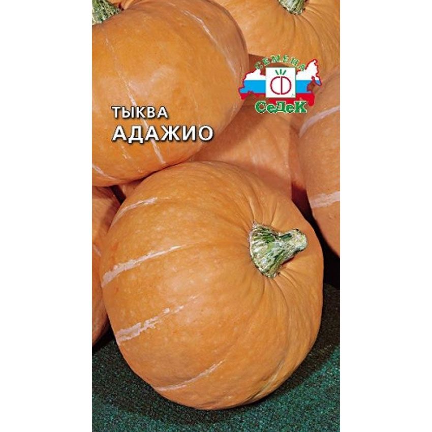 Тыква Адажио 1г "Седек"